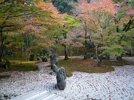 光明禅寺の紅葉