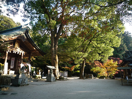 竈門神社の紅葉
