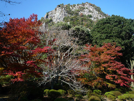 御船山楽園の紅葉(16)