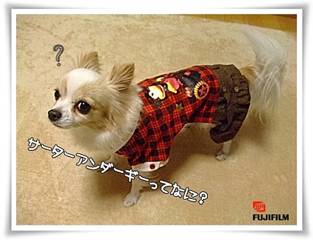 なんだろう?