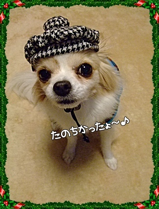 DSCF3553