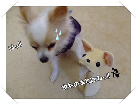 あれのあとに