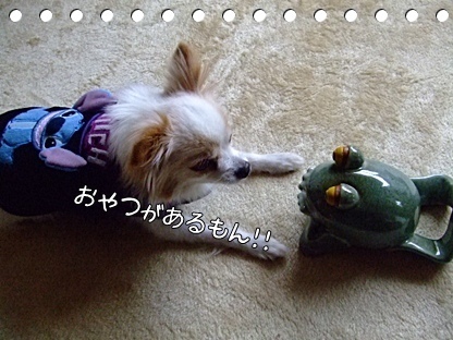 おやつもらえる♪