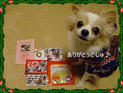 プレゼント