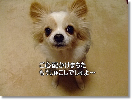 もう少し?
