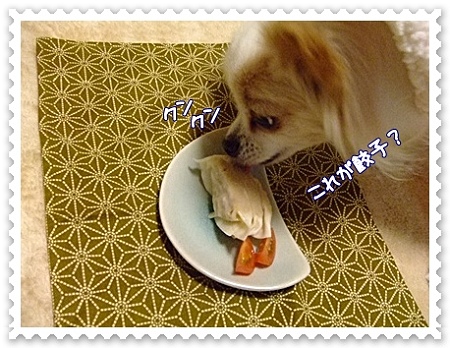 餃子