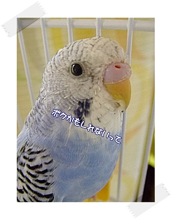 DSCF5316