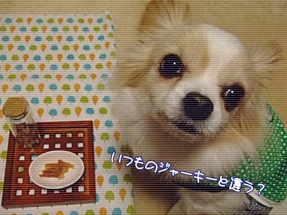 いつもと違う