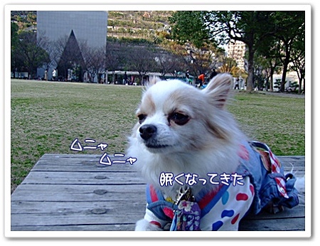 ムニャムニャ