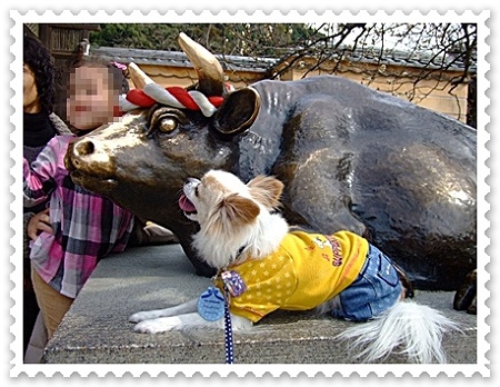お願い