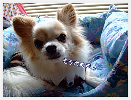 大丈夫