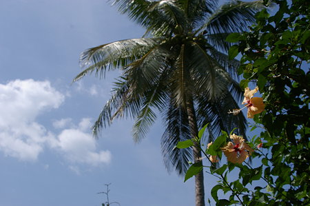 IMGP2613