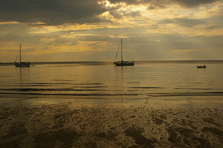 IMGP3231
