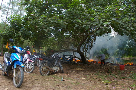 IMGP3264