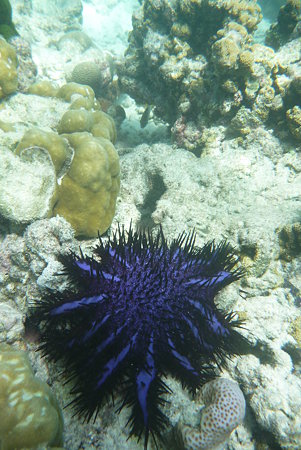 P1020111