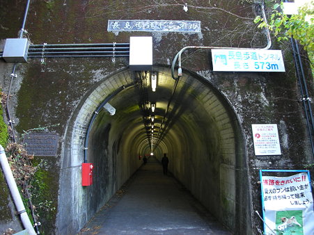 R42・長島歩道トンネル2