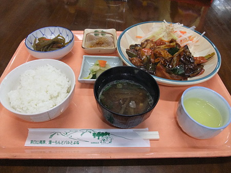 鶏肉と椎茸のみそ煮定食(道の駅・豊根グリーンポート宮嶋【愛知】)
