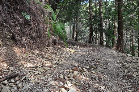国道260号線・中坂隧道旧道-4