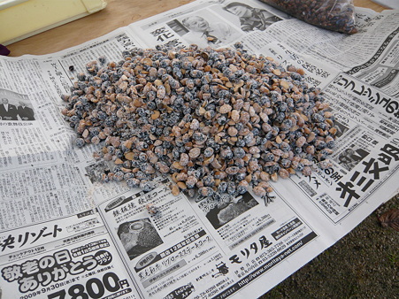 食文化の集い 017