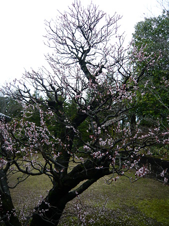姫路の足あと 047