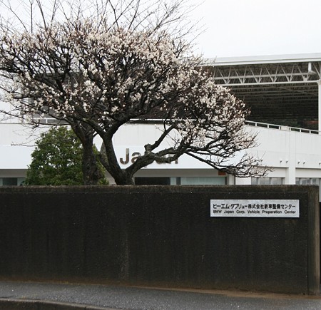 2010_02272010ミニ里帰り