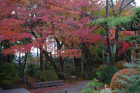 091129龍潭寺紅葉01