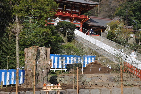 大銀杏再生祈願 03