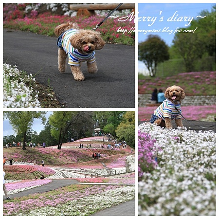 みさと公園