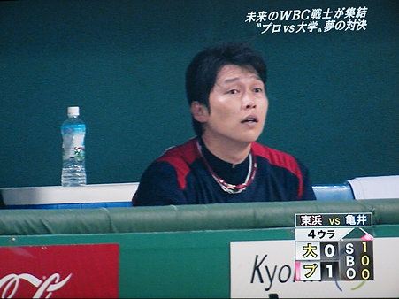 新井