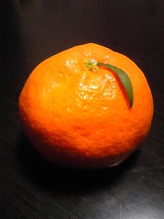 みかん