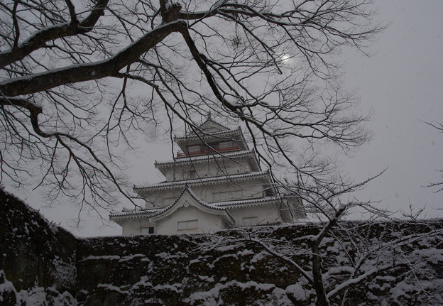 Photos: 歴史を誇る名城